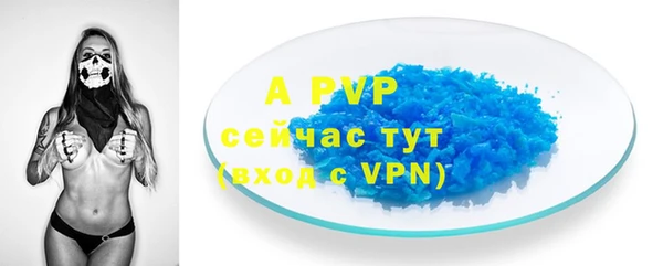 индика Липки