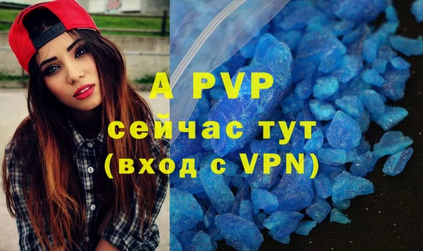 индика Липки